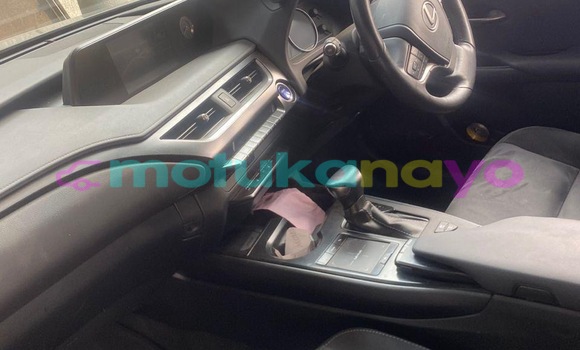 Acheter Occasion Voiture Lexus UX Gris à Kinshasa, Kinshasa Acheter Occasion Voiture Lexus UX Gris à Kinshasa, Kinshasa
