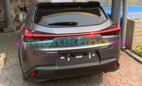 Acheter Occasion Voiture Lexus UX Gris à Kinshasa, Kinshasa Acheter Occasion Voiture Lexus UX Gris à Kinshasa, Kinshasa