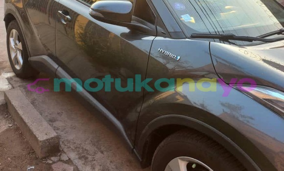 Acheter Neuf Voiture Toyota C-HR Gris à Kinshasa, Kinshasa Acheter Neuf Voiture Toyota C-HR Gris à Kinshasa, Kinshasa
