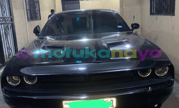 Buy Used Dodge Challenger Black Car in Kinshasa in Kinshasa