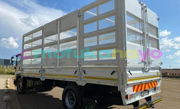 Buy Used Isuzu FTR 850 White Truck in Kinshasa in Kinshasa Buy Used Isuzu FTR 850 White Truck in Kinshasa in Kinshasa