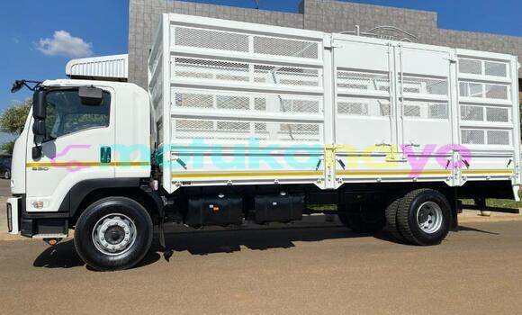 Buy Used Isuzu FTR 850 White Truck in Lubumbashi in Katanga Buy Used Isuzu FTR 850 White Truck in Lubumbashi in Katanga