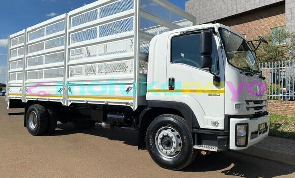 Buy Used Isuzu FTR 850 White Truck in Lubumbashi in Katanga Buy Used Isuzu FTR 850 White Truck in Lubumbashi in Katanga