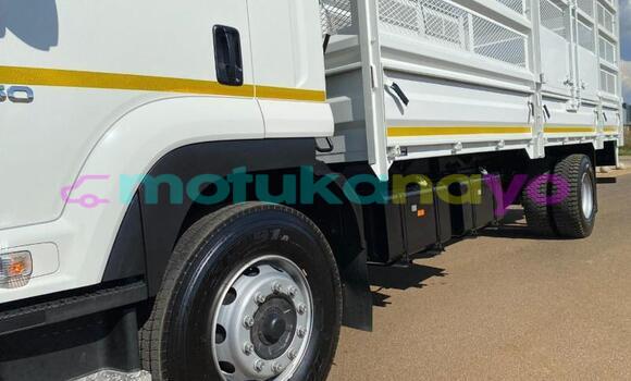 Buy Used Isuzu FTR 850 White Truck in Lubumbashi in Katanga Buy Used Isuzu FTR 850 White Truck in Lubumbashi in Katanga