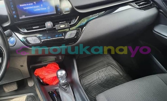 Acheter Occasion Voiture Toyota C-HR Autre à Basankusu, Equateur Acheter Occasion Voiture Toyota C-HR Autre à Basankusu, Equateur