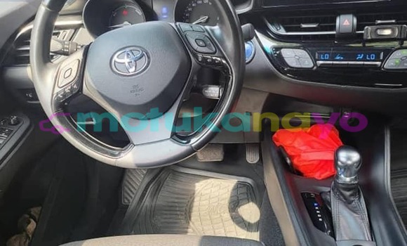 Acheter Occasion Voiture Toyota C-HR Autre à Basankusu, Equateur Acheter Occasion Voiture Toyota C-HR Autre à Basankusu, Equateur