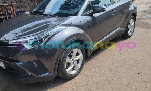 Acheter Occasion Voiture Toyota C-HR Autre à Basankusu, Equateur Acheter Occasion Voiture Toyota C-HR Autre à Basankusu, Equateur