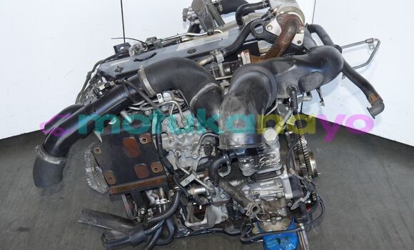 Buy ISUZU NPR 5.2L TURBO in Kinshasa in Kinshasa Buy ISUZU NPR 5.2L TURBO in Kinshasa in Kinshasa