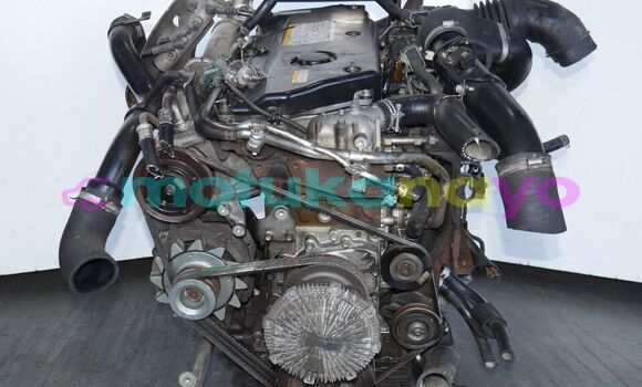 Buy ISUZU NPR 5.2L TURBO in Kinshasa in Kinshasa Buy ISUZU NPR 5.2L TURBO in Kinshasa in Kinshasa