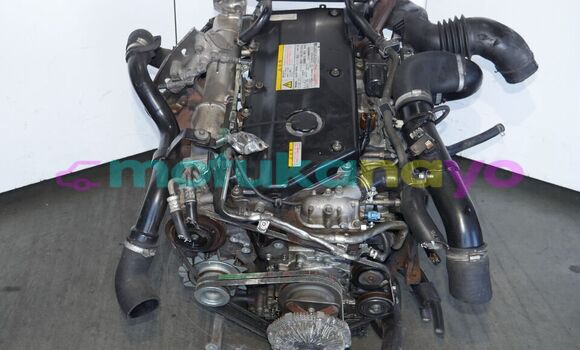 Buy ISUZU NPR 5.2L TURBO in Kinshasa in Kinshasa Buy ISUZU NPR 5.2L TURBO in Kinshasa in Kinshasa