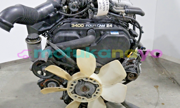 Buy Toyota Tacoma, 4Runner in Kinshasa in Kinshasa Buy Toyota Tacoma, 4Runner in Kinshasa in Kinshasa