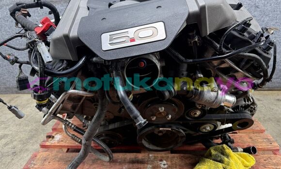 Buy FORD MUSTANG GT in Kinshasa in Kinshasa Buy FORD MUSTANG GT in Kinshasa in Kinshasa