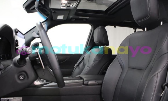 Acheter Occasion Voiture Lexus LX Blanc à Bumba, Equateur Acheter Occasion Voiture Lexus LX Blanc à Bumba, Equateur