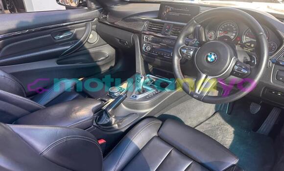 Buy Used BMW M4 Other Car in Kinshasa in Kinshasa Buy Used BMW M4 Other Car in Kinshasa in Kinshasa