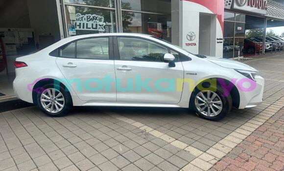 Buy Used Toyota Corolla White Car in Kinshasa in Kinshasa Buy Used Toyota Corolla White Car in Kinshasa in Kinshasa