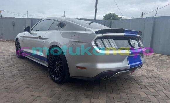 Buy Used Ford Mustang Silver Car in Kinshasa in Kinshasa Buy Used Ford Mustang Silver Car in Kinshasa in Kinshasa