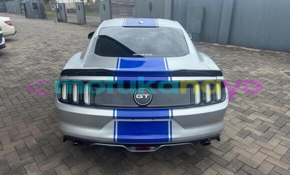 Buy Used Ford Mustang Silver Car in Kinshasa in Kinshasa Buy Used Ford Mustang Silver Car in Kinshasa in Kinshasa