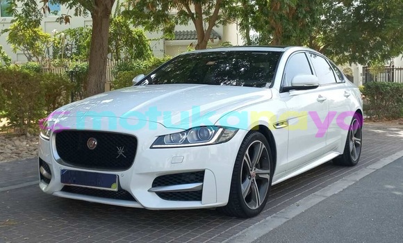 Acheter Occasion Voiture Jaguar XF Blanc à Kinshasa, Kinshasa