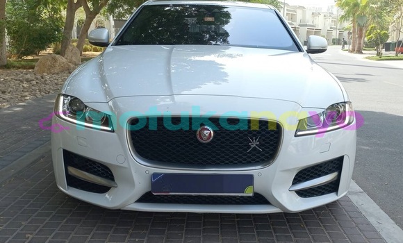 Buy Used Jaguar XF White Car in Kinshasa in Kinshasa Buy Used Jaguar XF White Car in Kinshasa in Kinshasa
