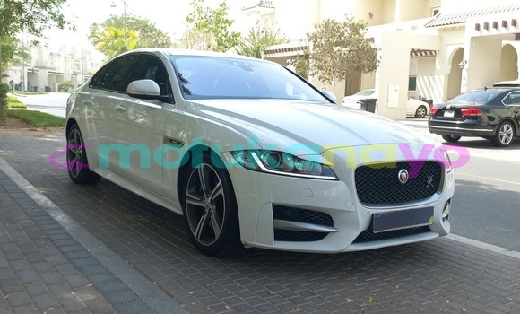 Buy Used Jaguar XF White Car in Kinshasa in Kinshasa Buy Used Jaguar XF White Car in Kinshasa in Kinshasa
