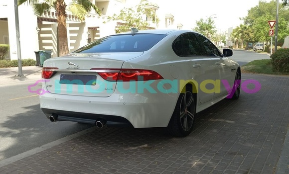 Buy Used Jaguar XF White Car in Kinshasa in Kinshasa Buy Used Jaguar XF White Car in Kinshasa in Kinshasa