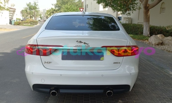 Buy Used Jaguar XF White Car in Kinshasa in Kinshasa Buy Used Jaguar XF White Car in Kinshasa in Kinshasa