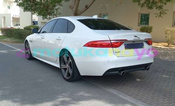 Buy Used Jaguar XF White Car in Kinshasa in Kinshasa Buy Used Jaguar XF White Car in Kinshasa in Kinshasa