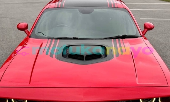 Buy Used Dodge Challenger Red Car in Kinshasa in Kinshasa Buy Used Dodge Challenger Red Car in Kinshasa in Kinshasa
