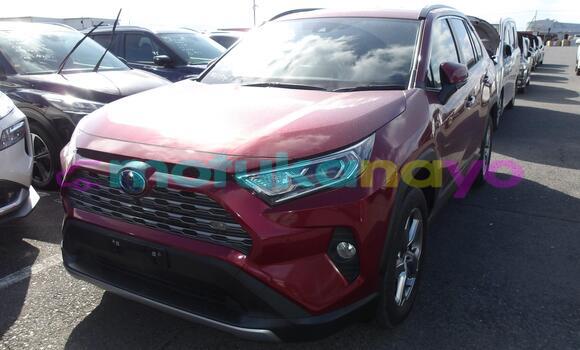 Buy Used Toyota RAV4 Red Car in Kinshasa in Kinshasa Buy Used Toyota RAV4 Red Car in Kinshasa in Kinshasa
