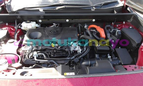 Buy Used Toyota RAV4 Red Car in Kinshasa in Kinshasa Buy Used Toyota RAV4 Red Car in Kinshasa in Kinshasa