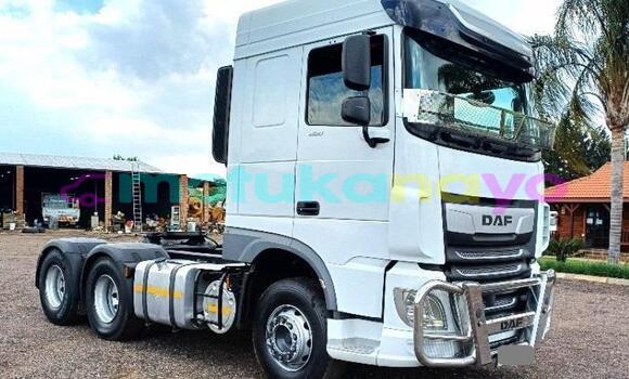 Buy Used DAF CF White Truck in Kinshasa in Kinshasa Buy Used DAF CF White Truck in Kinshasa in Kinshasa