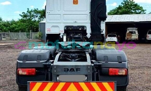 Buy Used DAF CF White Truck in Kinshasa in Kinshasa Buy Used DAF CF White Truck in Kinshasa in Kinshasa