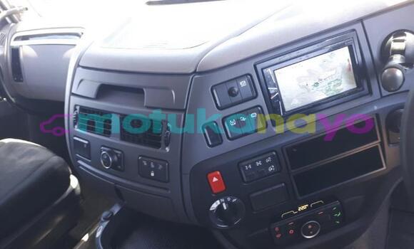 Buy Used DAF CF White Truck in Kinshasa in Kinshasa Buy Used DAF CF White Truck in Kinshasa in Kinshasa