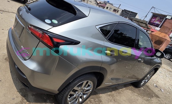 Acheter Occasion Voiture Lexus NX Gris à Kinshasa, Kinshasa Acheter Occasion Voiture Lexus NX Gris à Kinshasa, Kinshasa