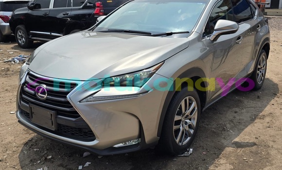 Acheter Occasion Voiture Lexus NX Gris à Kinshasa, Kinshasa Acheter Occasion Voiture Lexus NX Gris à Kinshasa, Kinshasa