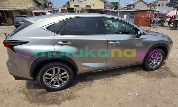Acheter Occasion Voiture Lexus NX Gris à Kinshasa, Kinshasa Acheter Occasion Voiture Lexus NX Gris à Kinshasa, Kinshasa