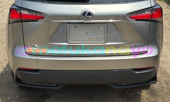Acheter Occasion Voiture Lexus NX Gris à Kinshasa, Kinshasa Acheter Occasion Voiture Lexus NX Gris à Kinshasa, Kinshasa