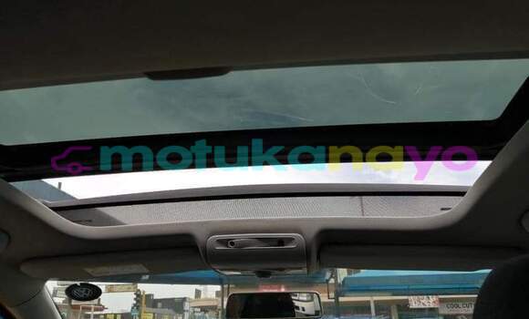 Buy Used Volkswagen Polo Red Car in Kinshasa in Kinshasa Buy Used Volkswagen Polo Red Car in Kinshasa in Kinshasa