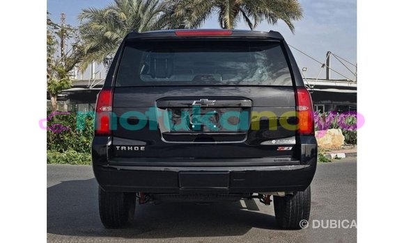 Buy Import Chevrolet Tahoe Black Car in Import - Dubai in Bandundu Buy Import Chevrolet Tahoe Black Car in Import - Dubai in Bandundu