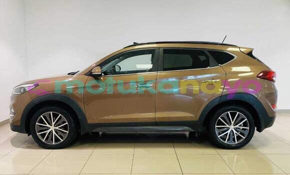 Buy Used Hyundai Tucson Brown Car in Kinshasa in Kinshasa Buy Used Hyundai Tucson Brown Car in Kinshasa in Kinshasa