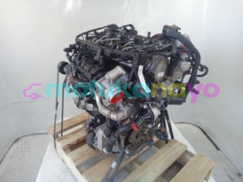 Big with watermark s l960d