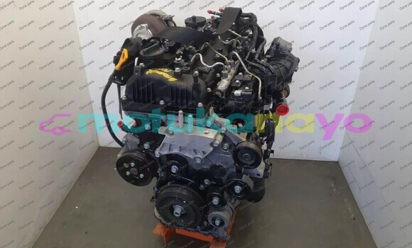 Medium with watermark 1