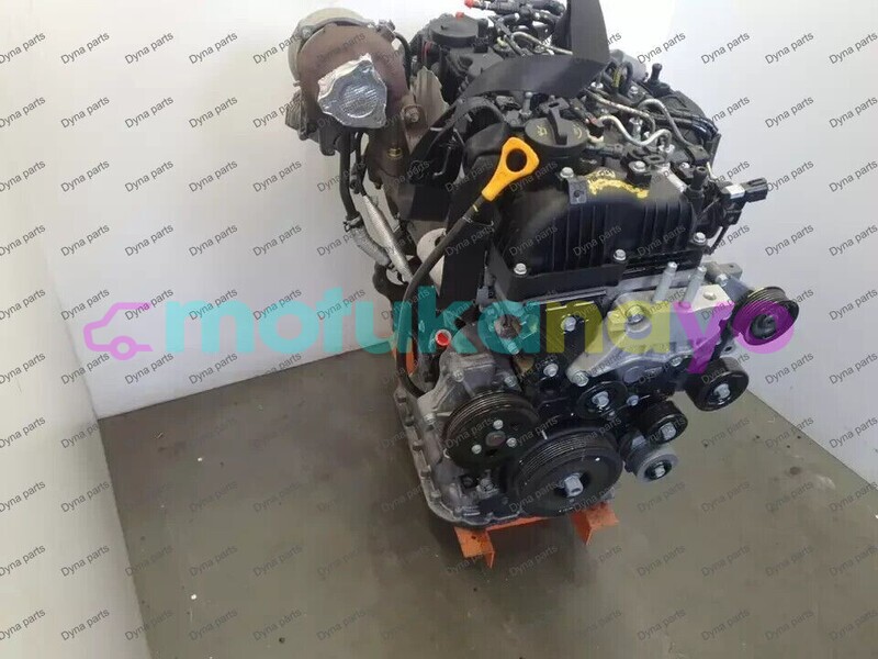 Big with watermark 2