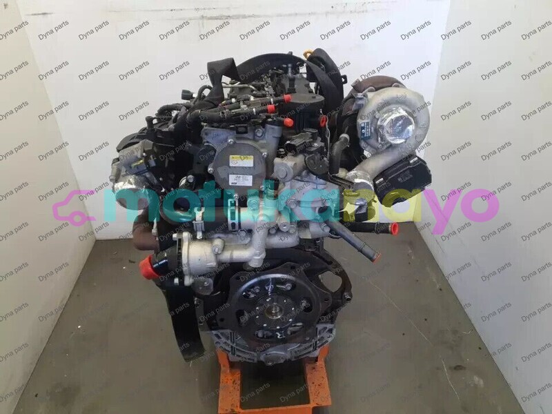 Big with watermark 6