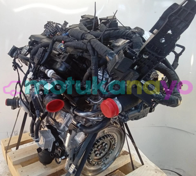 Big with watermark s l16002