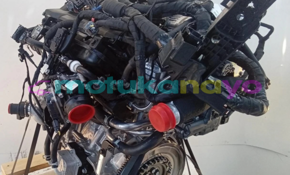 Medium with watermark s l16002