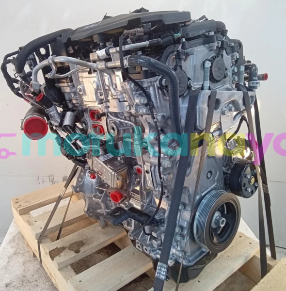 Big with watermark s l16000