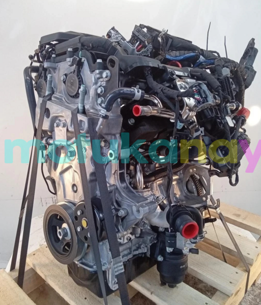 Big with watermark s l1600