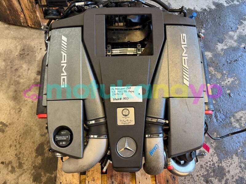 Big with watermark 1