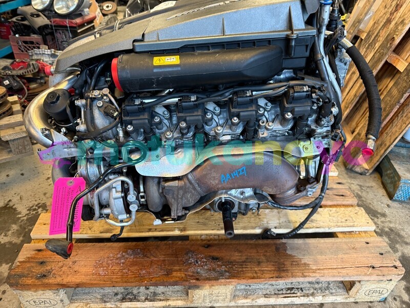 Big with watermark 3